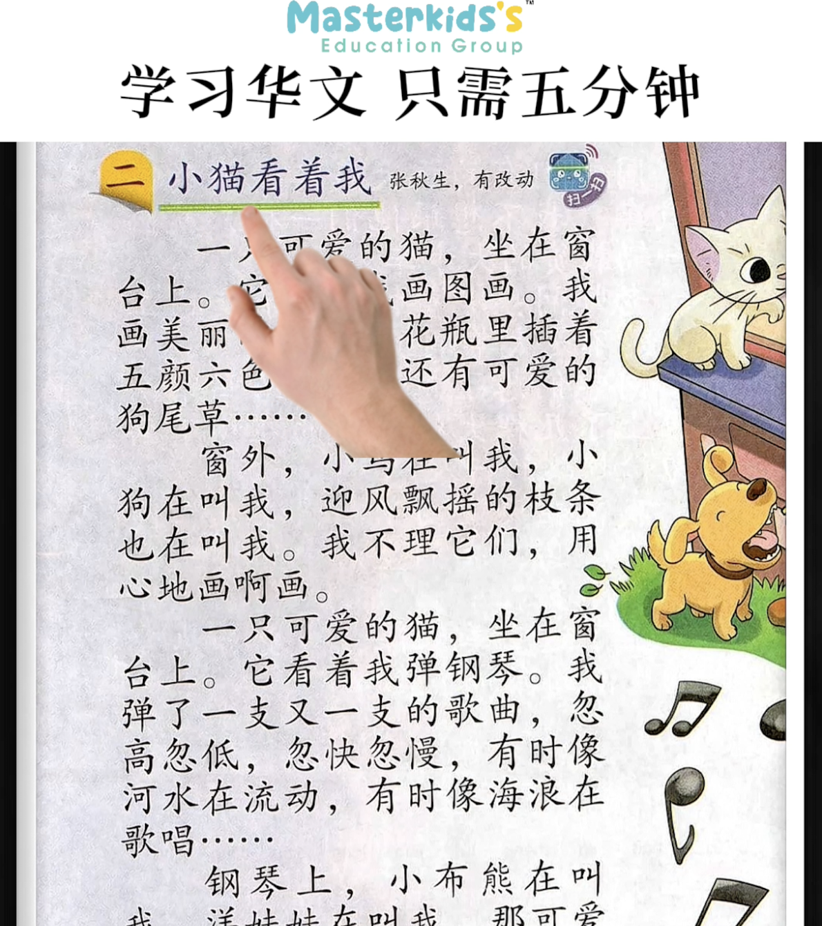 UASA 小猫看着我